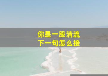 你是一股清流下一句怎么接