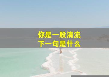 你是一股清流下一句是什么