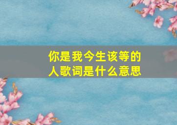 你是我今生该等的人歌词是什么意思