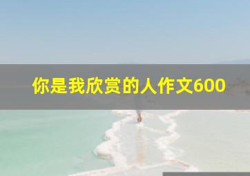 你是我欣赏的人作文600