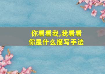 你看看我,我看看你是什么描写手法