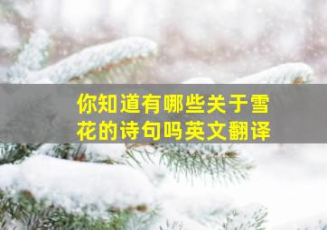 你知道有哪些关于雪花的诗句吗英文翻译