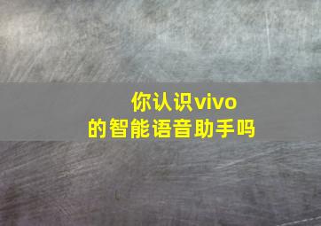 你认识vivo的智能语音助手吗