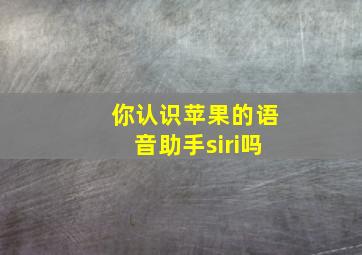 你认识苹果的语音助手siri吗