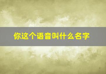 你这个语音叫什么名字