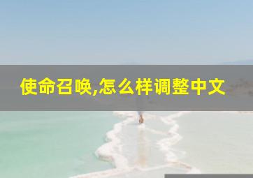 使命召唤,怎么样调整中文