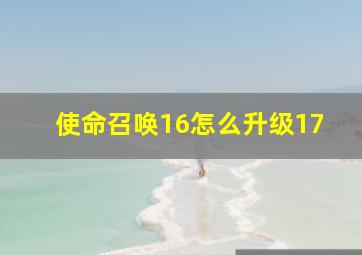 使命召唤16怎么升级17