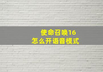 使命召唤16怎么开语音模式