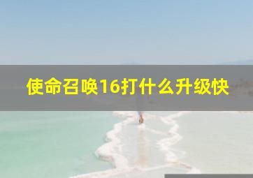 使命召唤16打什么升级快