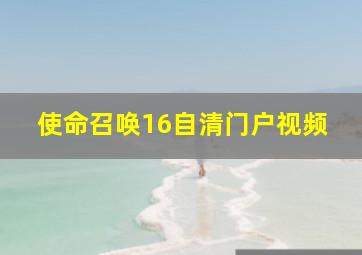 使命召唤16自清门户视频