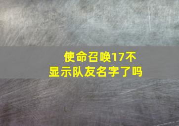 使命召唤17不显示队友名字了吗