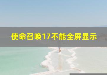 使命召唤17不能全屏显示