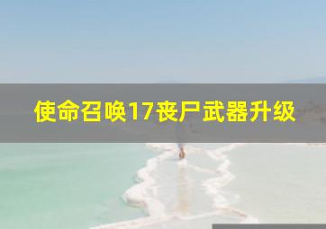 使命召唤17丧尸武器升级