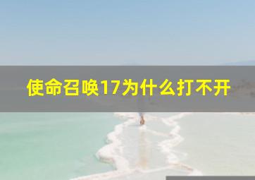 使命召唤17为什么打不开