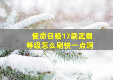 使命召唤17刷武器等级怎么刷快一点啊