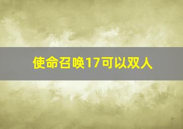 使命召唤17可以双人