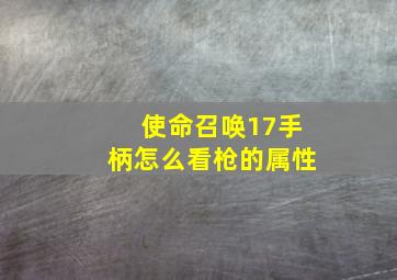 使命召唤17手柄怎么看枪的属性