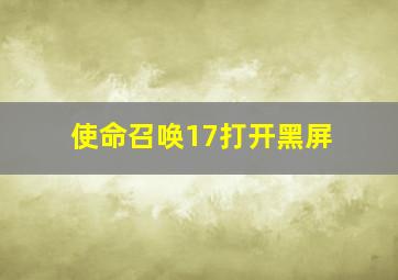 使命召唤17打开黑屏