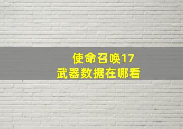 使命召唤17武器数据在哪看