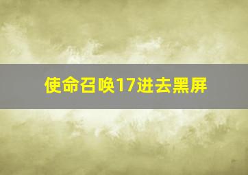 使命召唤17进去黑屏