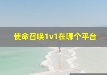 使命召唤1v1在哪个平台