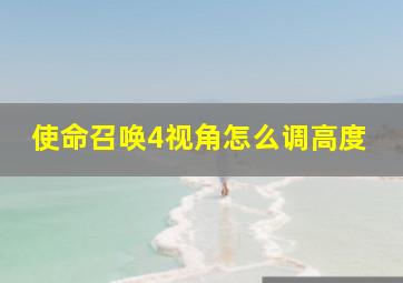 使命召唤4视角怎么调高度