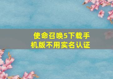 使命召唤5下载手机版不用实名认证