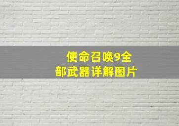 使命召唤9全部武器详解图片