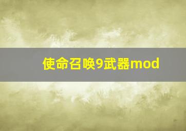 使命召唤9武器mod