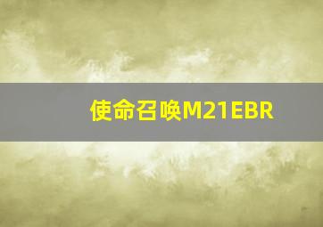 使命召唤M21EBR