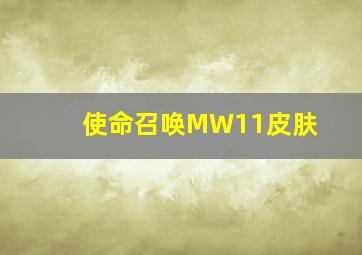 使命召唤MW11皮肤