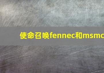 使命召唤fennec和msmc