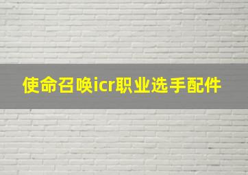 使命召唤icr职业选手配件