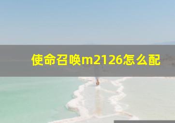 使命召唤m2126怎么配