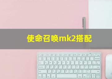 使命召唤mk2搭配