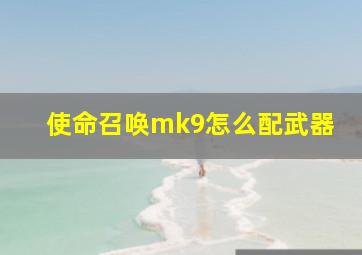 使命召唤mk9怎么配武器