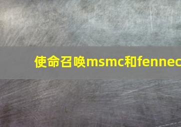 使命召唤msmc和fennec