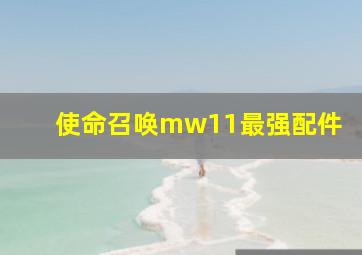 使命召唤mw11最强配件