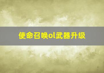 使命召唤ol武器升级