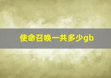 使命召唤一共多少gb