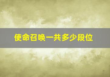 使命召唤一共多少段位