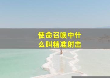 使命召唤中什么叫精准射击