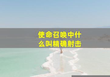 使命召唤中什么叫精确射击