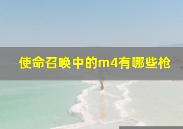 使命召唤中的m4有哪些枪