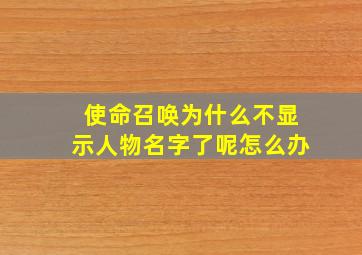 使命召唤为什么不显示人物名字了呢怎么办