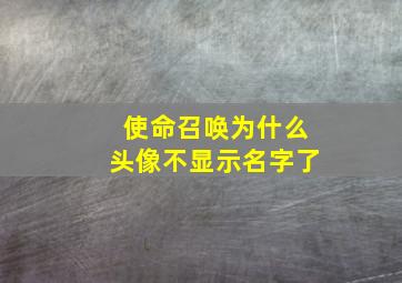 使命召唤为什么头像不显示名字了