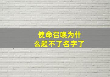 使命召唤为什么起不了名字了