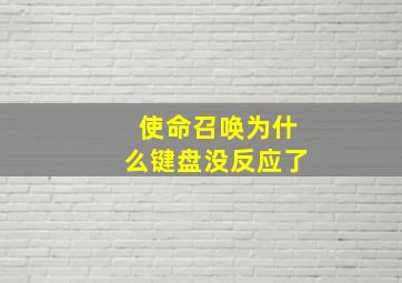 使命召唤为什么键盘没反应了