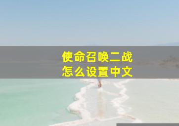 使命召唤二战怎么设置中文