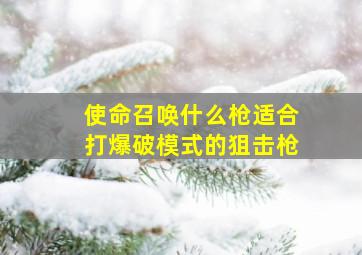 使命召唤什么枪适合打爆破模式的狙击枪